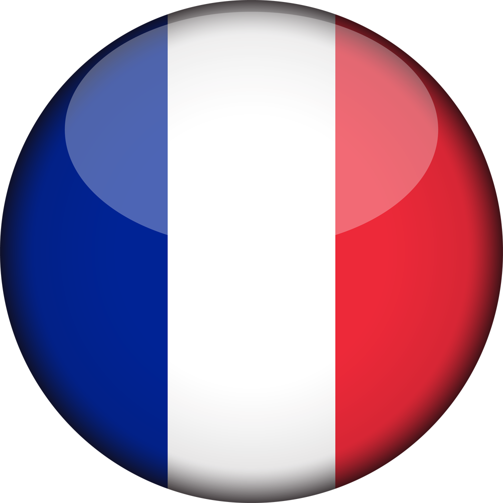 france flag 3d round medium